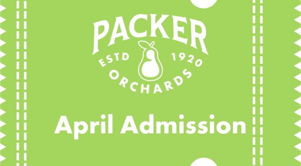 April 1st Admission Cheap