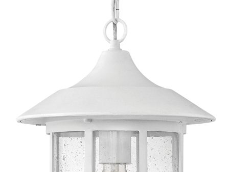 10 W Freeport 1-Light Outdoor Hanging Light in Classic White Cheap