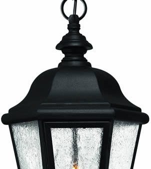 10 W Edgewater 3-Light Outdoor Pendant Black Online Sale