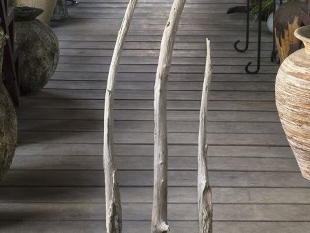 40 H Teak Branches Statues Set of 3 Hot on Sale