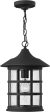 10 W Freeport 1-Light Outdoor Hanging Light Black Hot on Sale