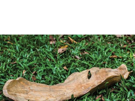 5 H Teak Leaf Bowl For Cheap