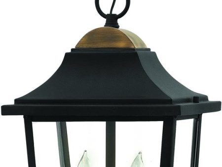 10 W Burton 2-Light Outdoor Pendant Light Black 1972BK For Sale