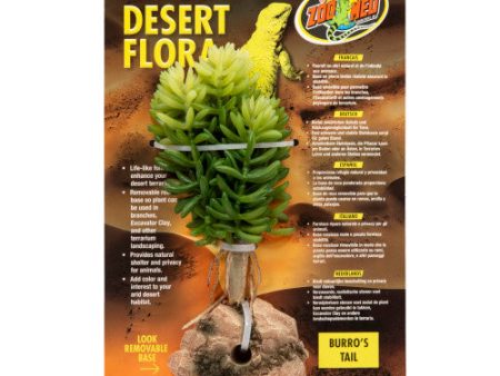 Zoo Med Desert Flora Plant Burro s Tail, 1 Each One Size by Zoo Med Online Sale